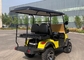 Mini Electric Vehicle 2 Seater Lifted Buggy Golf Carts Lead Acid Lithium Battery Powered