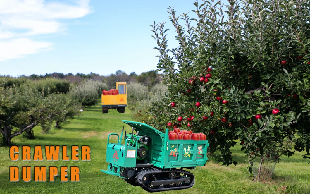 Diesel Engine Powered GF2000 Rubber Crawler Dumper Track 2000kg Construction Machinery 4