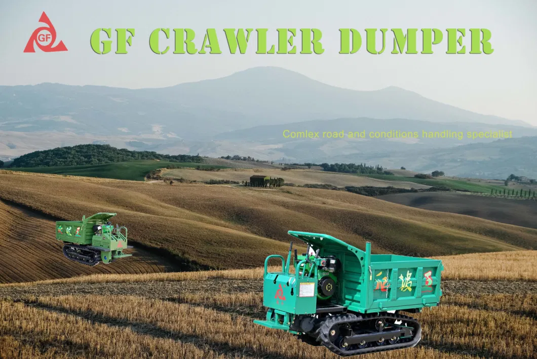 Diesel Engine Powered Hydraulic Crawler Dumper Truck 9.2kw / 300r/Min Engine Power GF2500 0