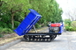 Agricultural Machinery 3.5 Tons Crawler Tipping Truck Light Duty Hydraulic Dumping Diesel Engine Powered