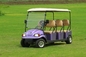 Fast Ship Portable Lightweight Quick Open Foldable Golf Push Cart 4 Seats Mini Golf Carts Trolley for Outdoor